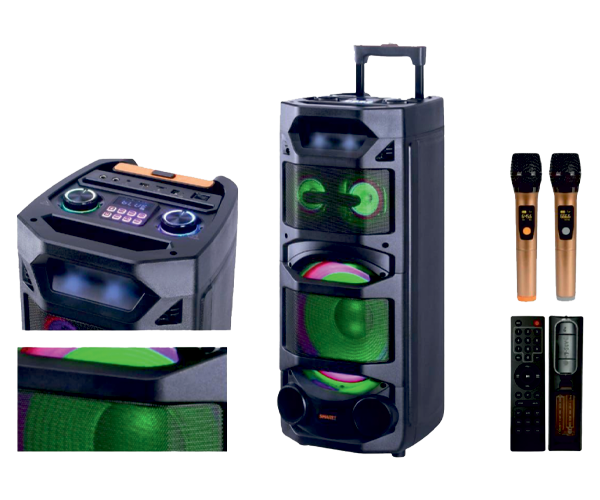 10 + 3 + 3 Party Speaker